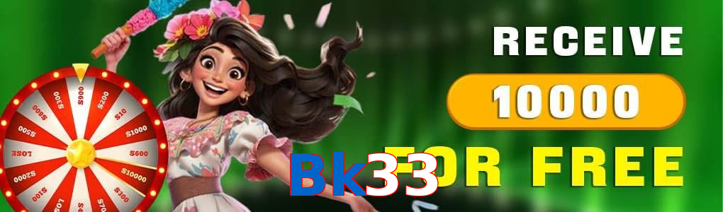 Bk33